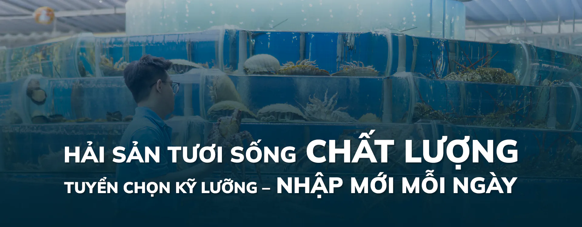 Banner sản phẩm bán chạy Hải Sản Rạn Biển