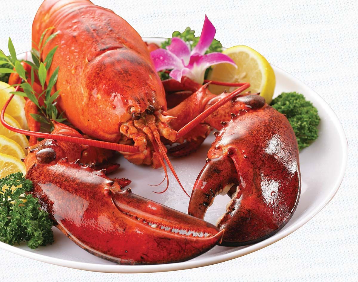 Hải sản tươi sống cao cấp tại Rạn Biển