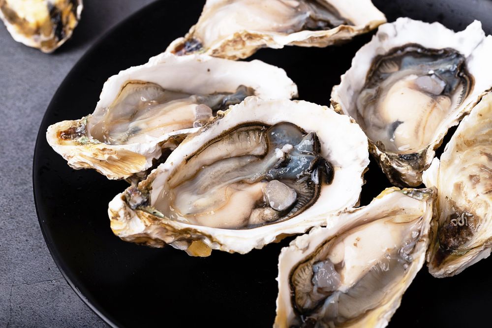 —Pngtree—fresh shellfish oysters sea oysters_1538109
