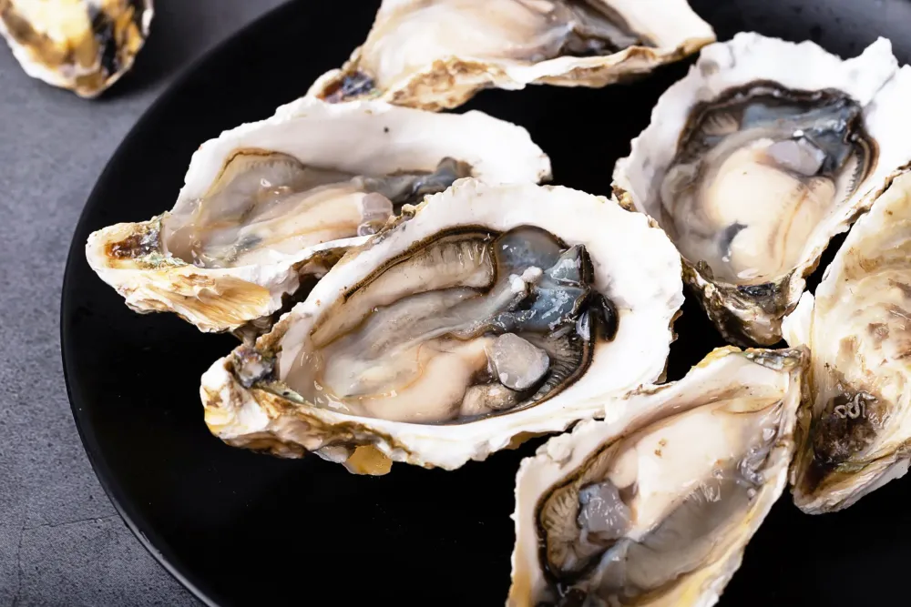 —Pngtree—fresh shellfish oysters sea oysters_1538109