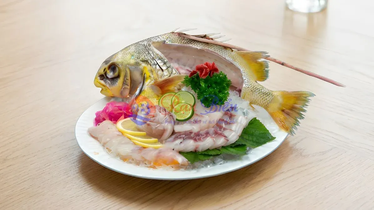 Cá Chìa Vôi Sashimi