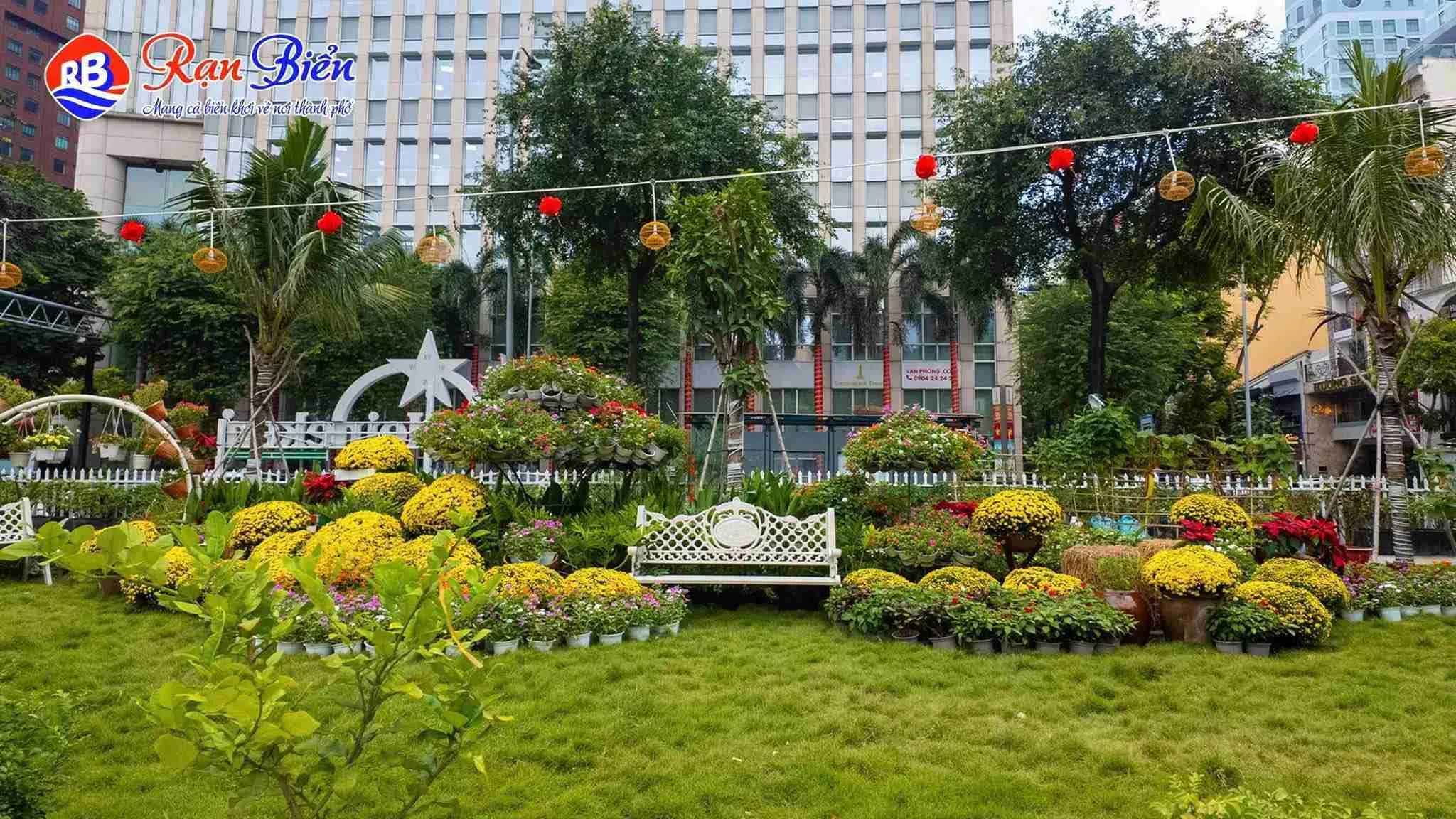 Vườn Cỏ Xuân Tại Rạn Biển Trung Tâm