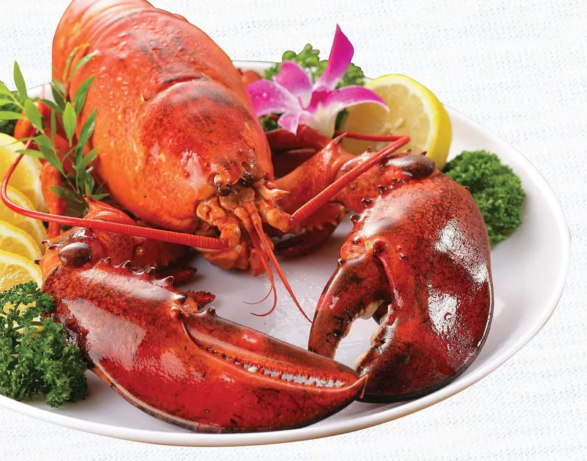 Hải sản tươi sống cao cấp tại Rạn Biển