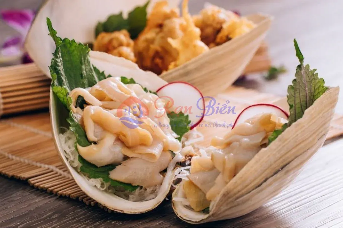 Ốc Vòi Voi Canada Sashimi