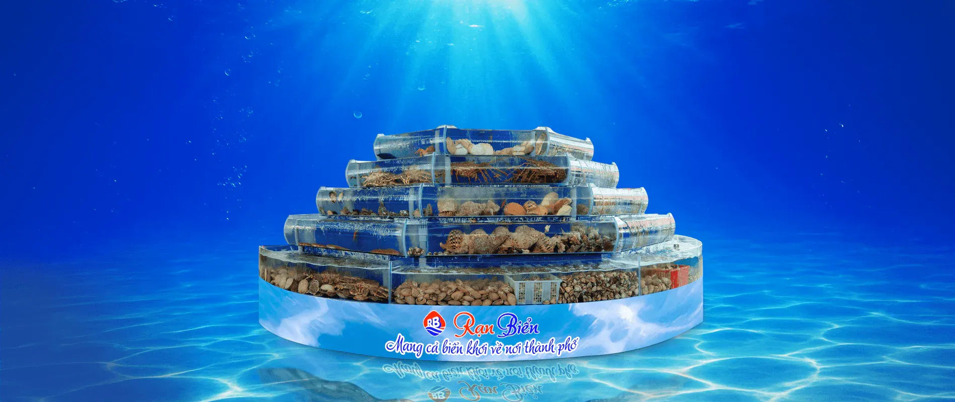 Tinh hoa hải sản Rạn Biển